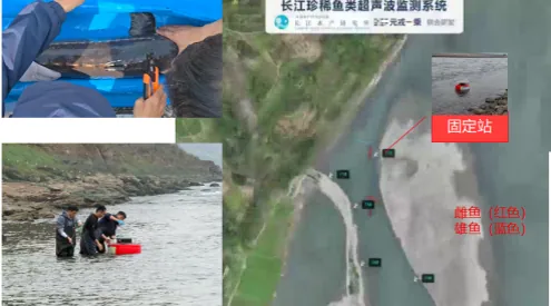 从一枚标记到一套评价系统 国产监测平台赋能流域生态精细化治理